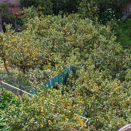 Monterosso View 5 Terre 蒙特罗索阿尔马雷